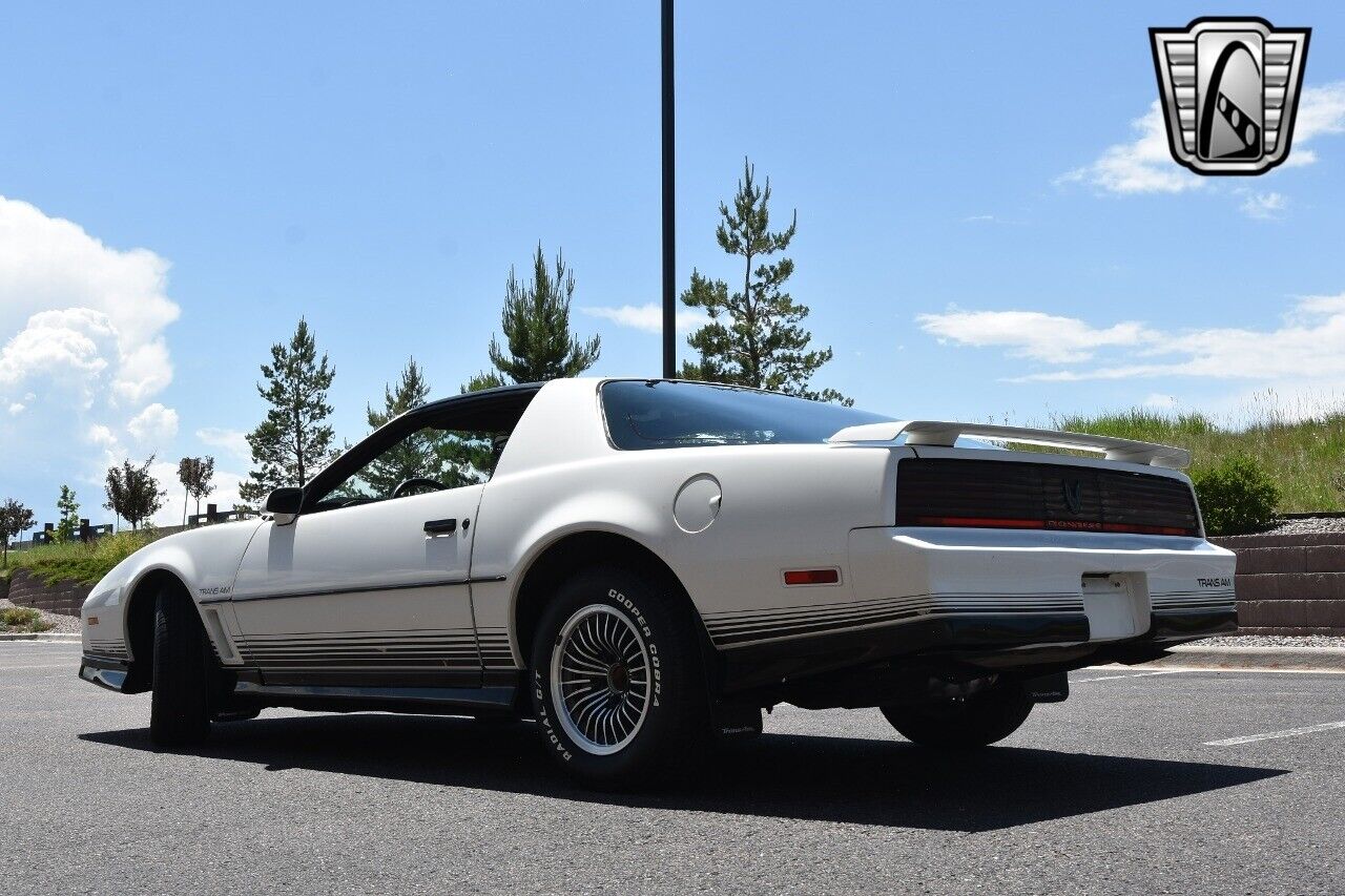 Pontiac-Firebird-Coupe-1984-White-Gray-134184-4