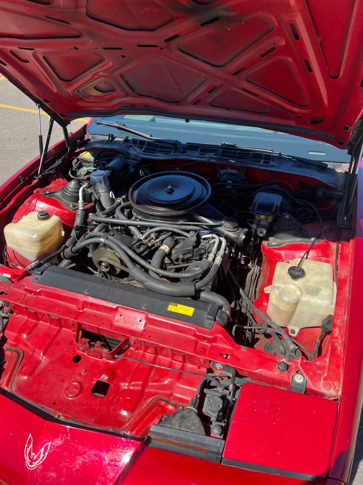 Pontiac-Firebird-Coupe-1986-Red-Gray-88876-5