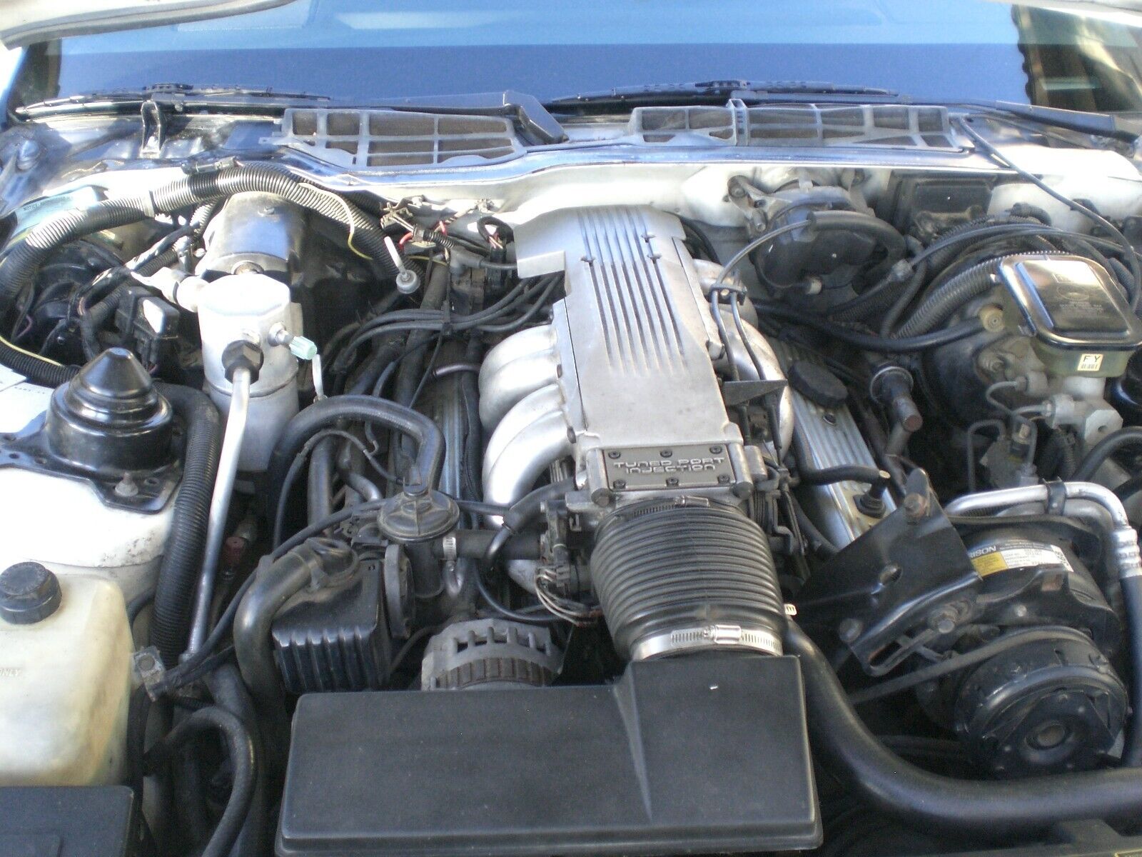 Pontiac-Firebird-Coupe-1987-White-Gray-326995-22