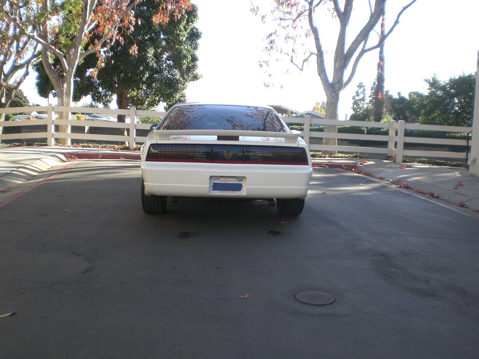 Pontiac-Firebird-Coupe-1987-White-Gray-326995-5