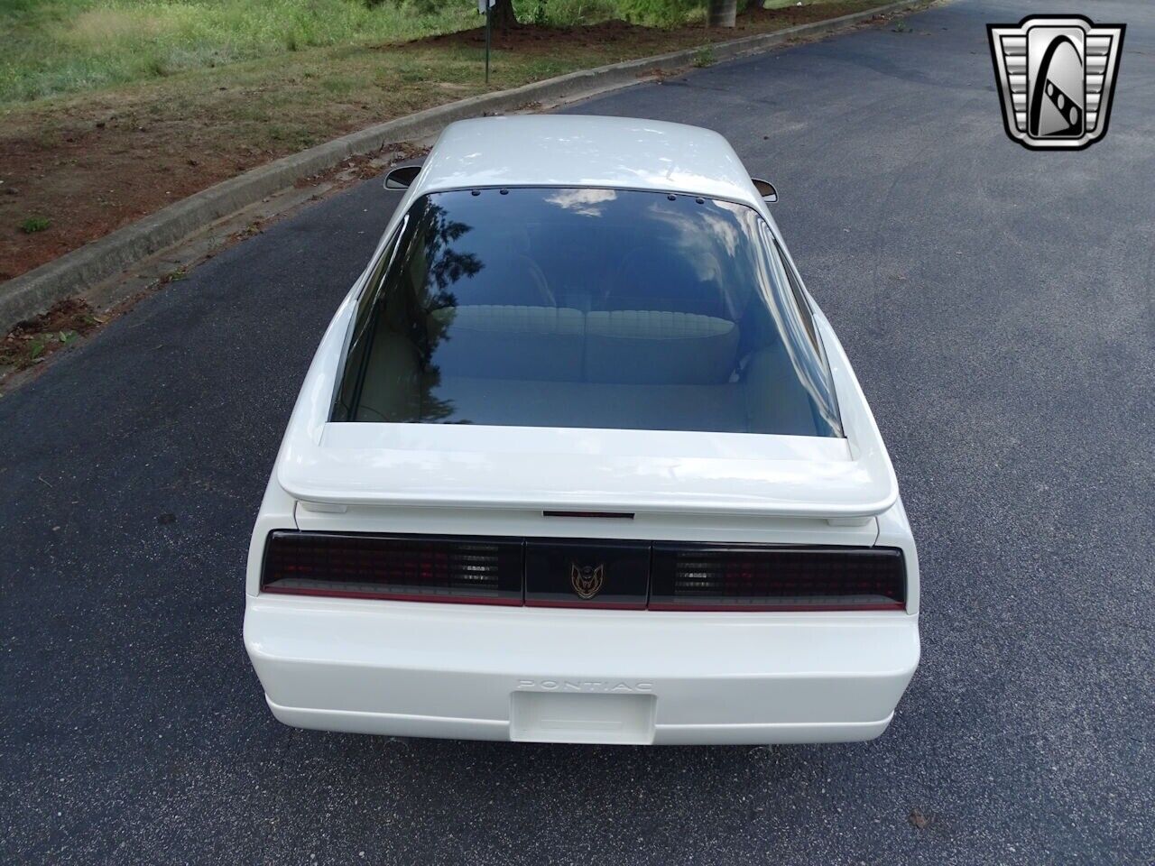 Pontiac-Firebird-Coupe-1987-White-LIGHT-CAMEL-111014-5