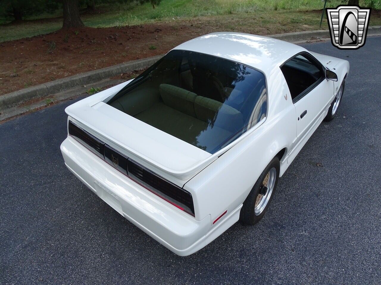 Pontiac-Firebird-Coupe-1987-White-LIGHT-CAMEL-111014-6