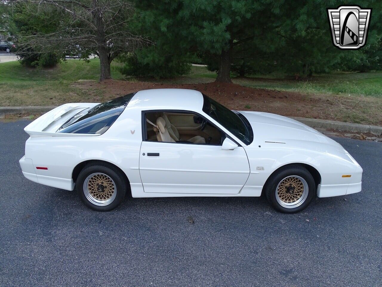 Pontiac-Firebird-Coupe-1987-White-LIGHT-CAMEL-111014-7