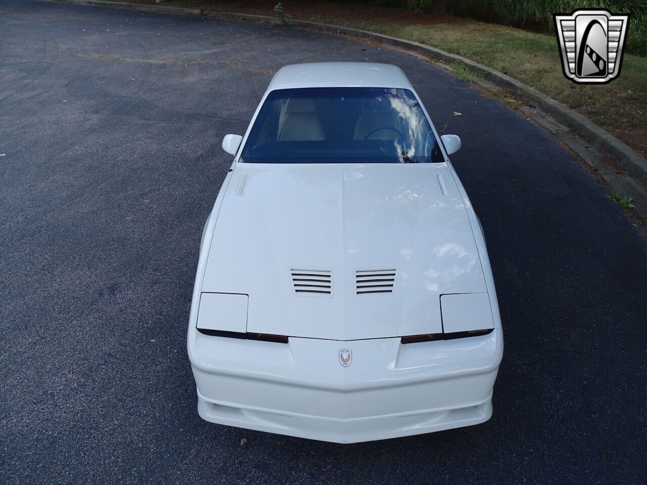 Pontiac-Firebird-Coupe-1987-White-LIGHT-CAMEL-111014-9