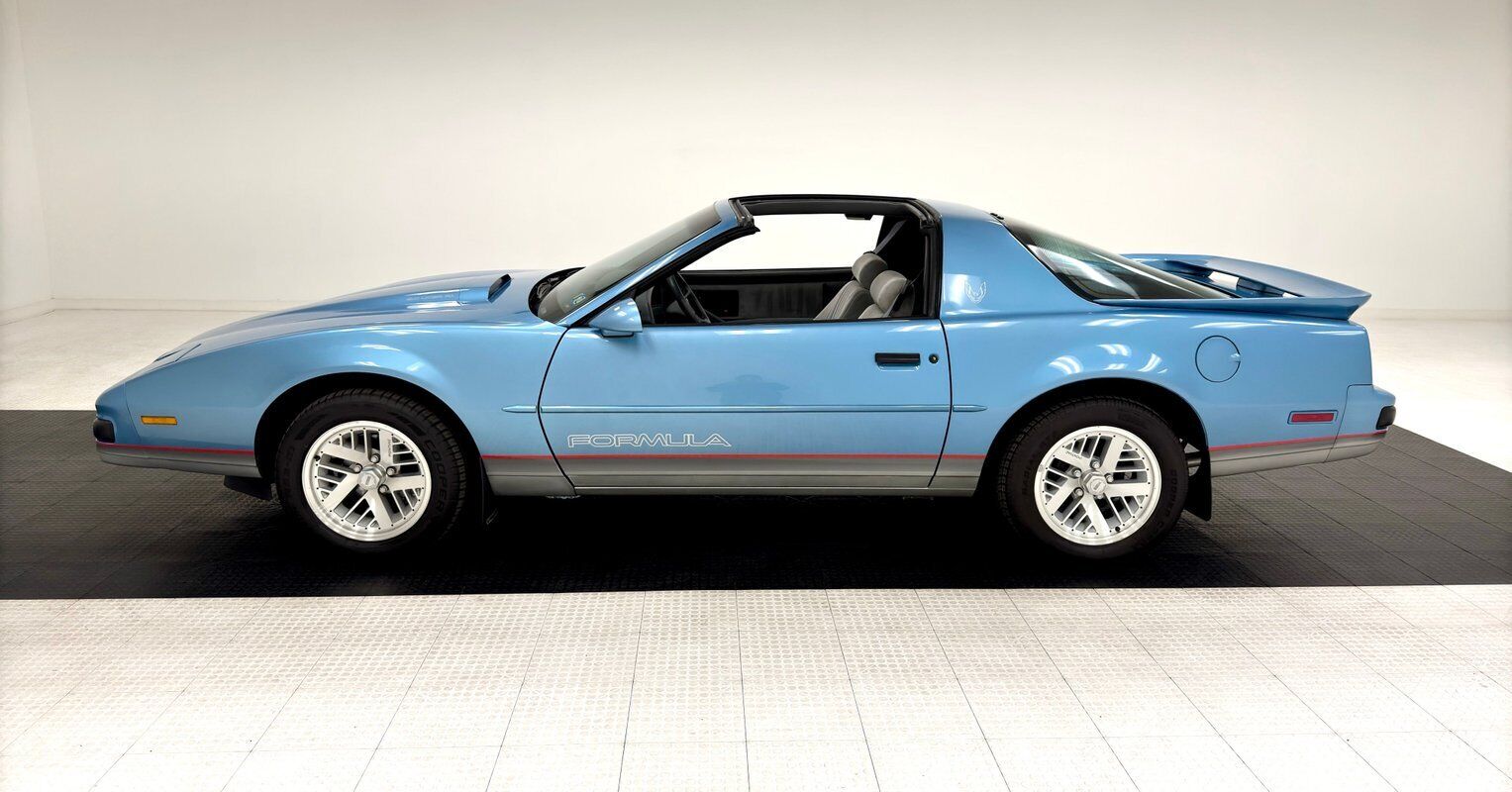 Pontiac-Firebird-Coupe-1989-Blue-Gray-30576-2