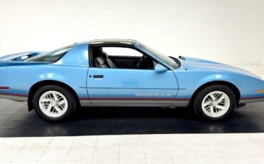 Pontiac-Firebird-Coupe-1989-Blue-Gray-30576-6