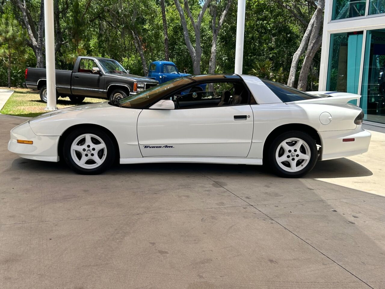 Pontiac-Firebird-Coupe-1995-White-Gray-204567-10