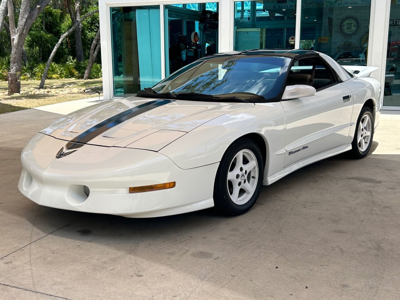 Pontiac-Firebird-Coupe-1995-White-Gray-204567-11