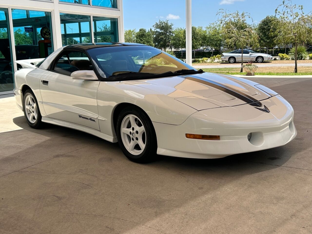 Pontiac-Firebird-Coupe-1995-White-Gray-204567-2