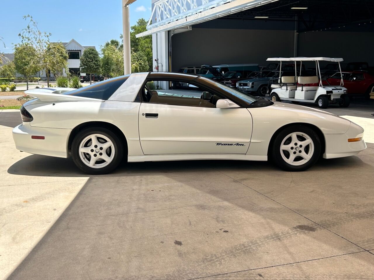 Pontiac-Firebird-Coupe-1995-White-Gray-204567-3