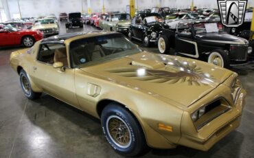 Pontiac-Firebird-Trans-Am-Coupe-1978-Gold-Camel-9645-3