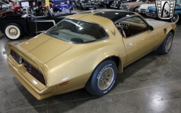 Pontiac-Firebird-Trans-Am-Coupe-1978-Gold-Camel-9645-5