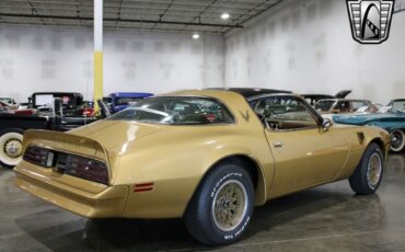 Pontiac-Firebird-Trans-Am-Coupe-1978-Gold-Camel-9645-6