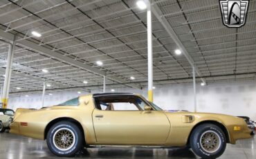 Pontiac-Firebird-Trans-Am-Coupe-1978-Gold-Camel-9645-7