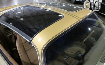 Pontiac-Firebird-Trans-Am-Coupe-1978-Gold-Camel-9645-9