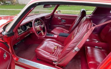 Pontiac-Firebird-redbird-1979-red-85295-8