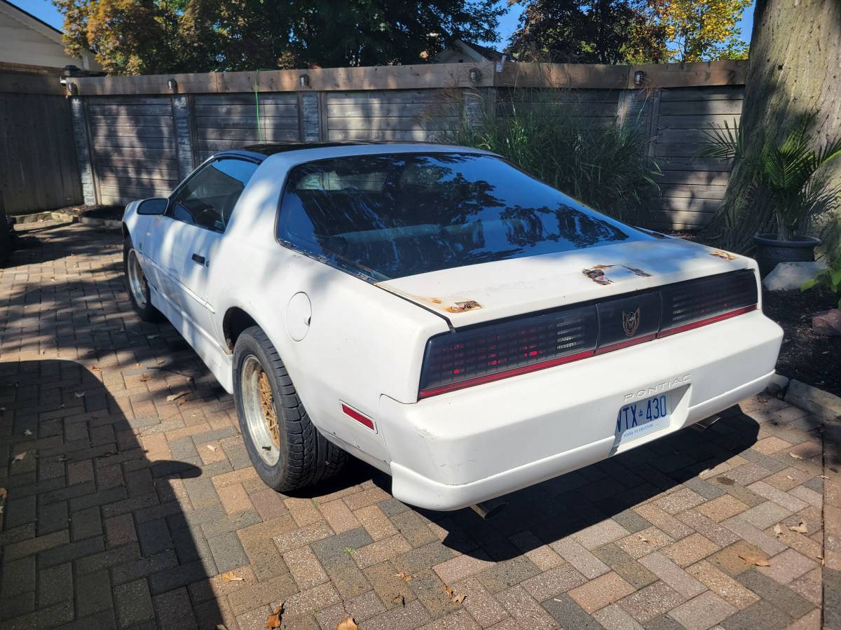 Pontiac-Firebird-trans-am-1989-white-161-2