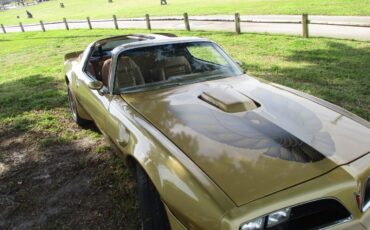 Pontiac-Firebird-trans-am-ws6-1979-131966-1