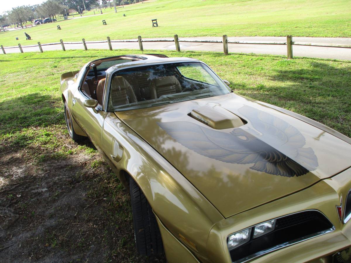 Pontiac-Firebird-trans-am-ws6-1979-131966-1