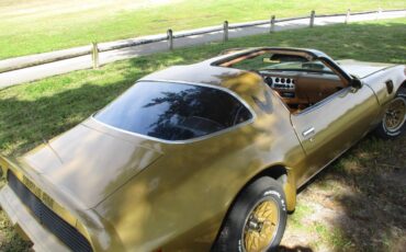 Pontiac-Firebird-trans-am-ws6-1979-131966-2