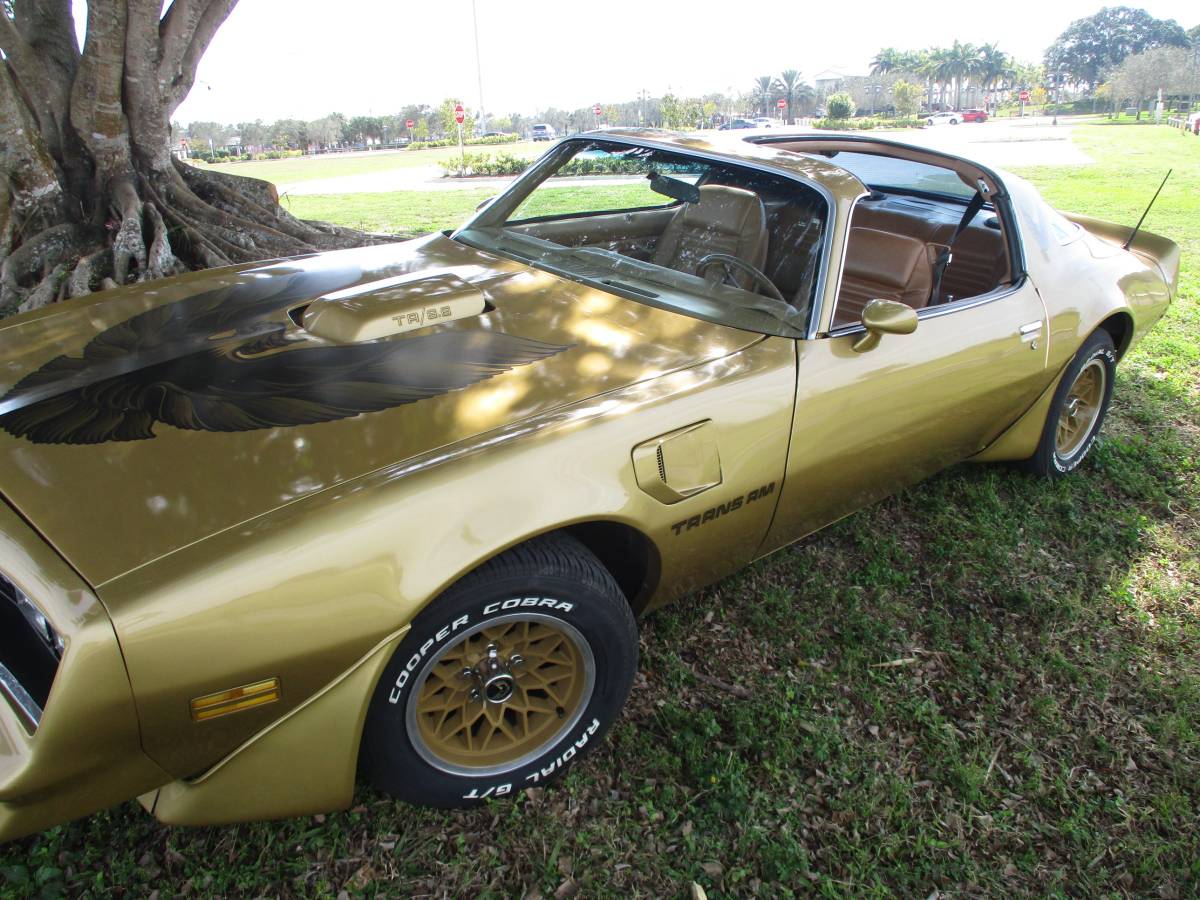 Pontiac-Firebird-trans-am-ws6-1979-131966-3