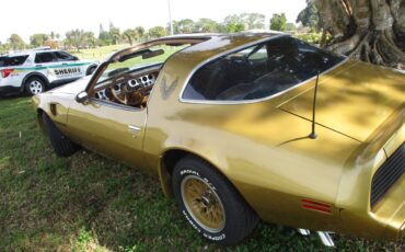 Pontiac-Firebird-trans-am-ws6-1979-131966-4