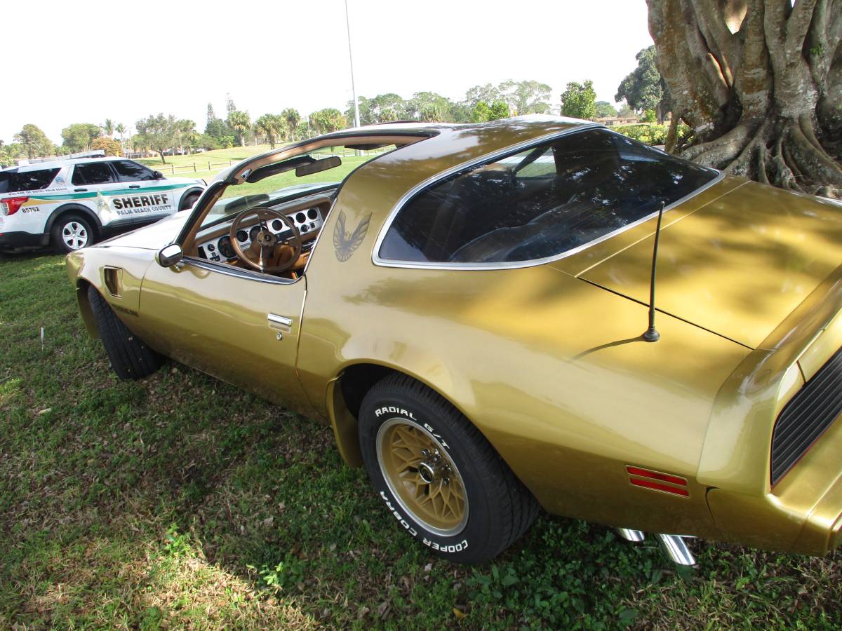 Pontiac-Firebird-trans-am-ws6-1979-131966-4