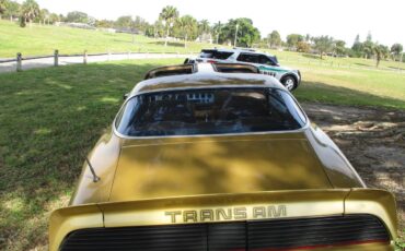 Pontiac-Firebird-trans-am-ws6-1979-131966-5