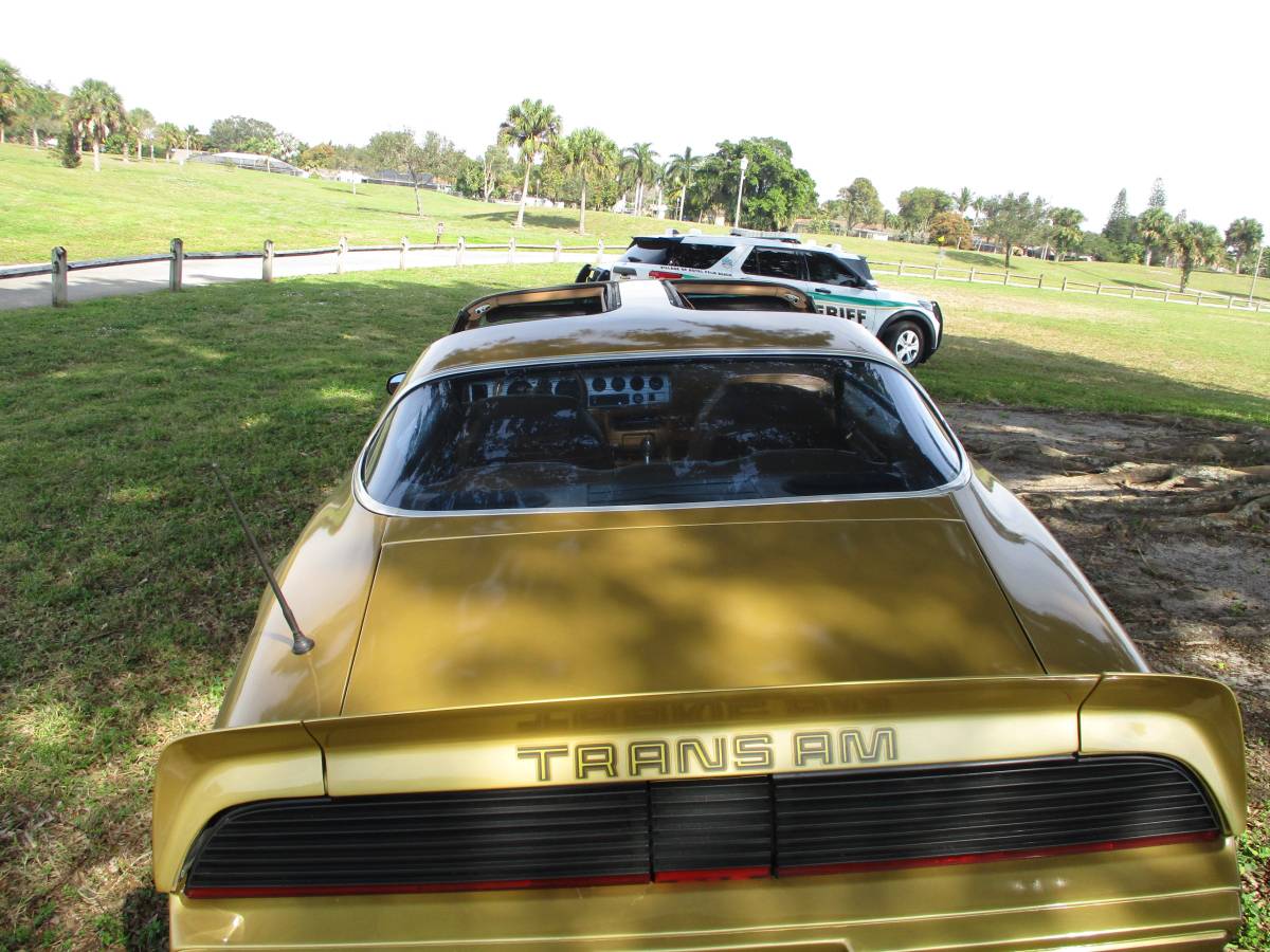 Pontiac-Firebird-trans-am-ws6-1979-131966-5