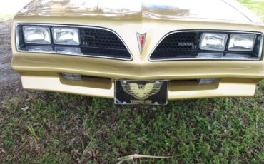 Pontiac-Firebird-trans-am-ws6-1979-131966-7