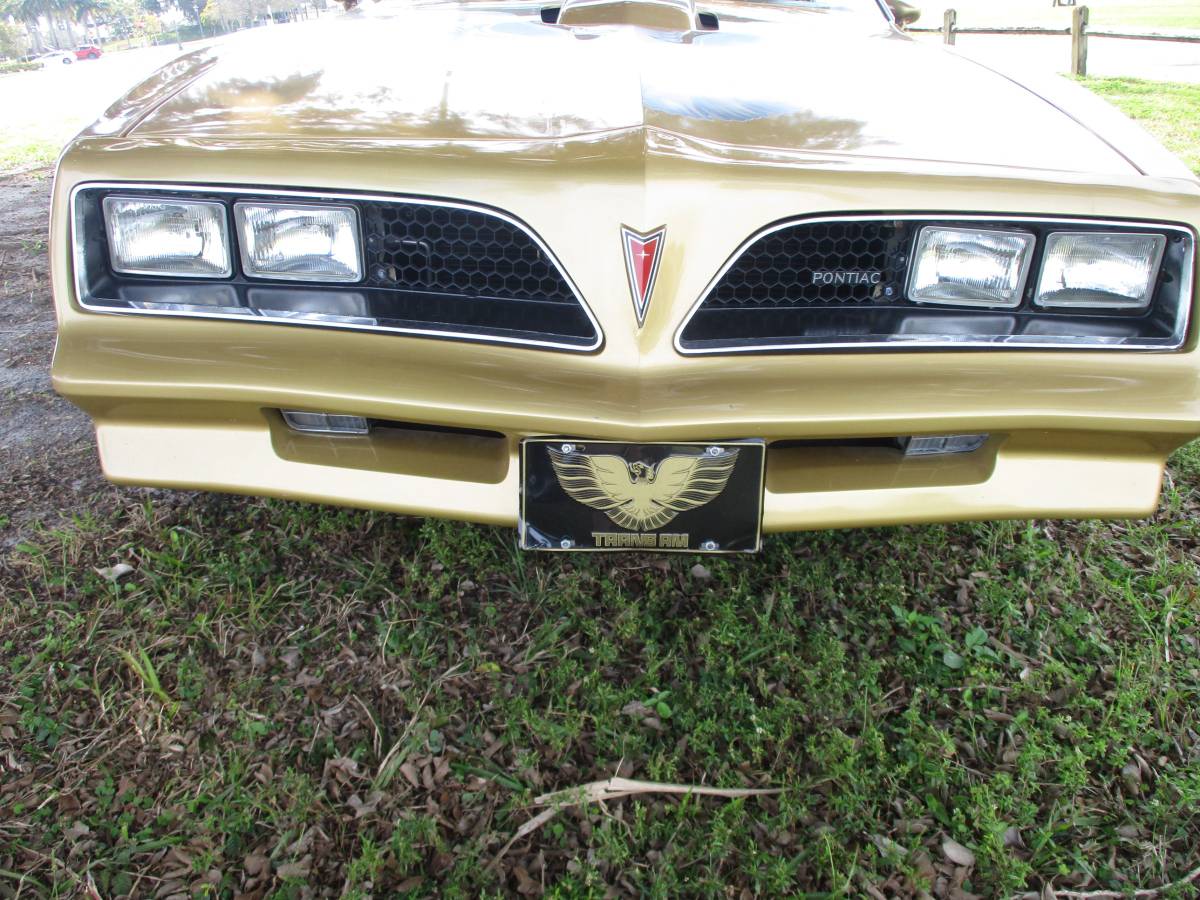 Pontiac-Firebird-trans-am-ws6-1979-131966-7