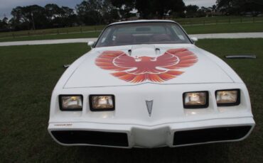 Pontiac-Firebird-transam-1979-157715-5