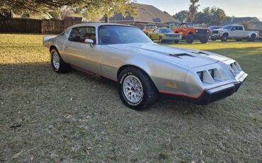 Pontiac-Formula-firebird-1980-silver-106216