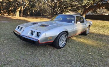 Pontiac-Formula-firebird-1980-silver-106216-6