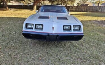 Pontiac-Formula-firebird-1980-silver-106216-7