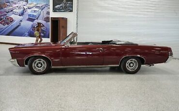 Pontiac-GTO-1965-Burgundy-Black-7356-2