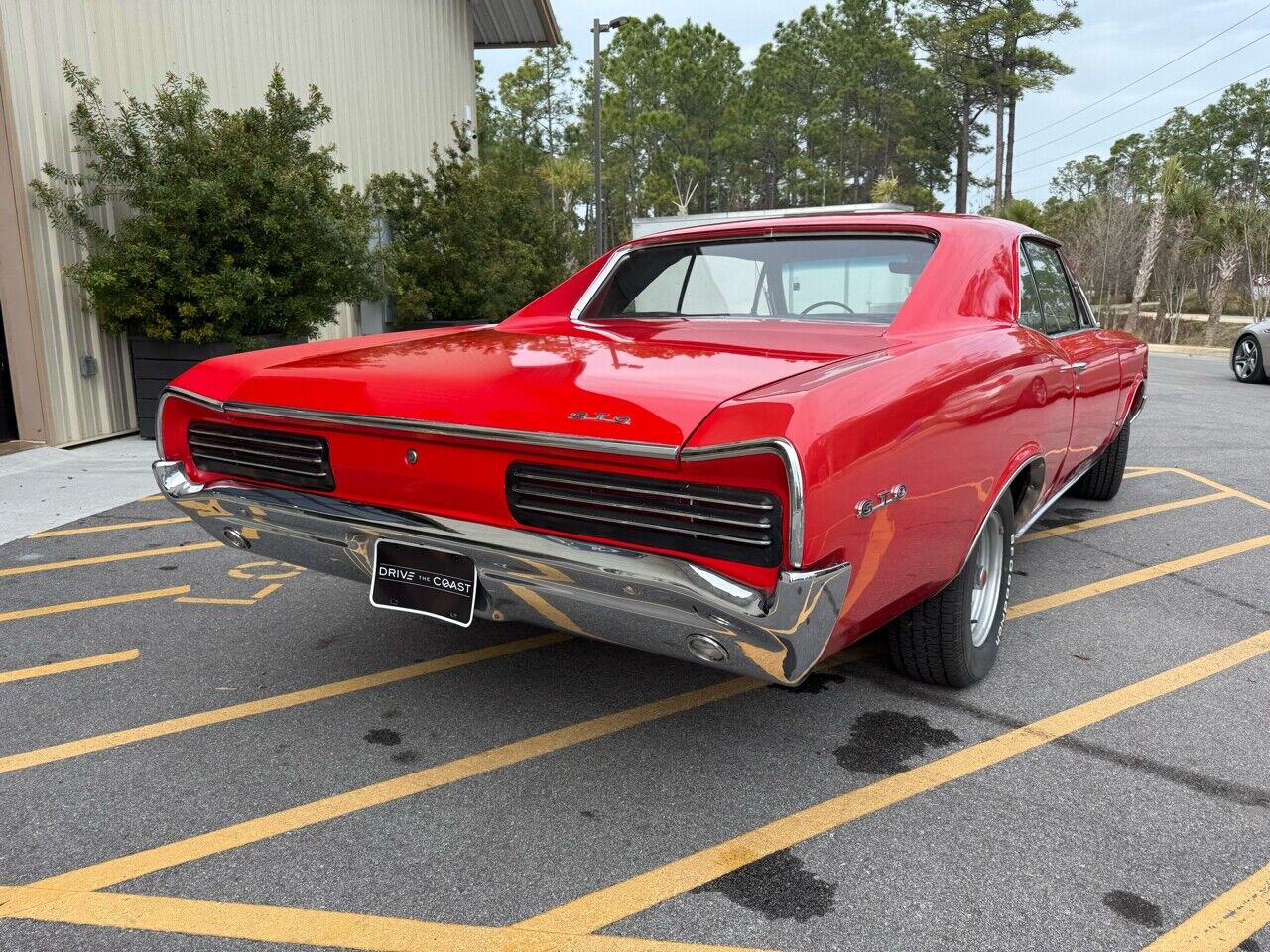 Pontiac-GTO-1966-Red-Black-7912-12