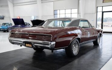 Pontiac-GTO-1967-Burgundy-Ivory-58115-5