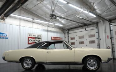 Pontiac-GTO-1967-Cameo-Ivory-Red-91614-18