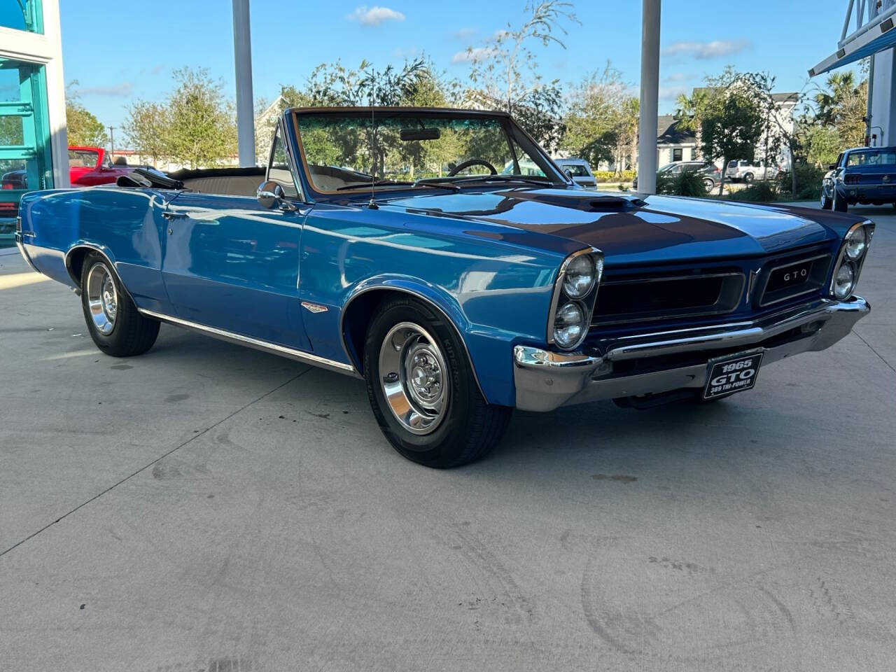 Pontiac-GTO-Cabriolet-1965-Blue-Cream-141925-2