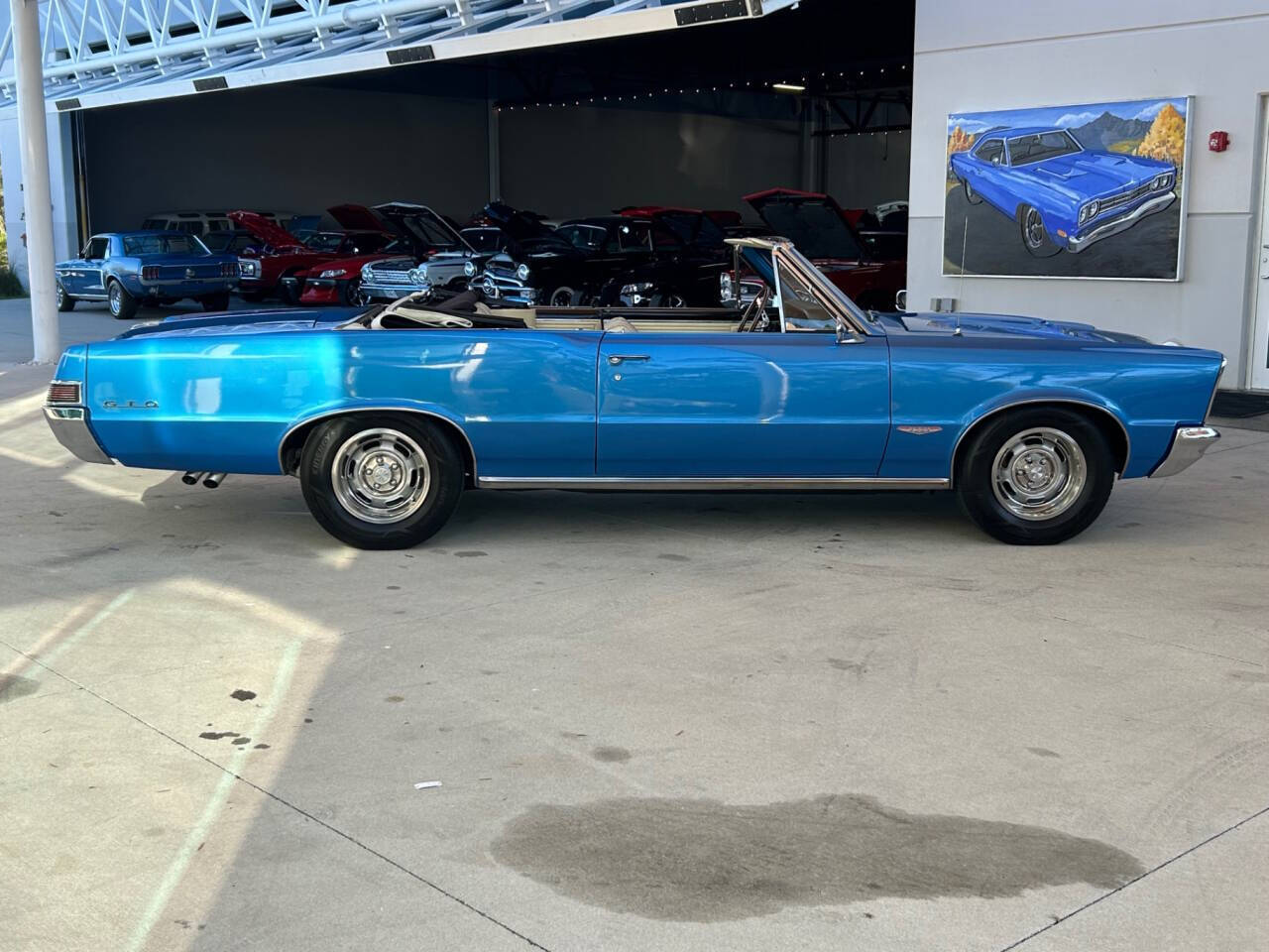 Pontiac-GTO-Cabriolet-1965-Blue-Cream-141925-3