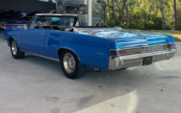 Pontiac-GTO-Cabriolet-1965-Blue-Cream-141925-9