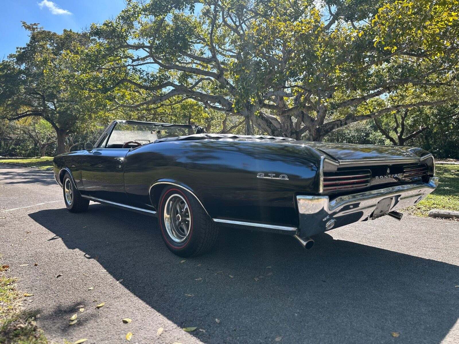 Pontiac-GTO-Cabriolet-1966-Black-Black-131137-10