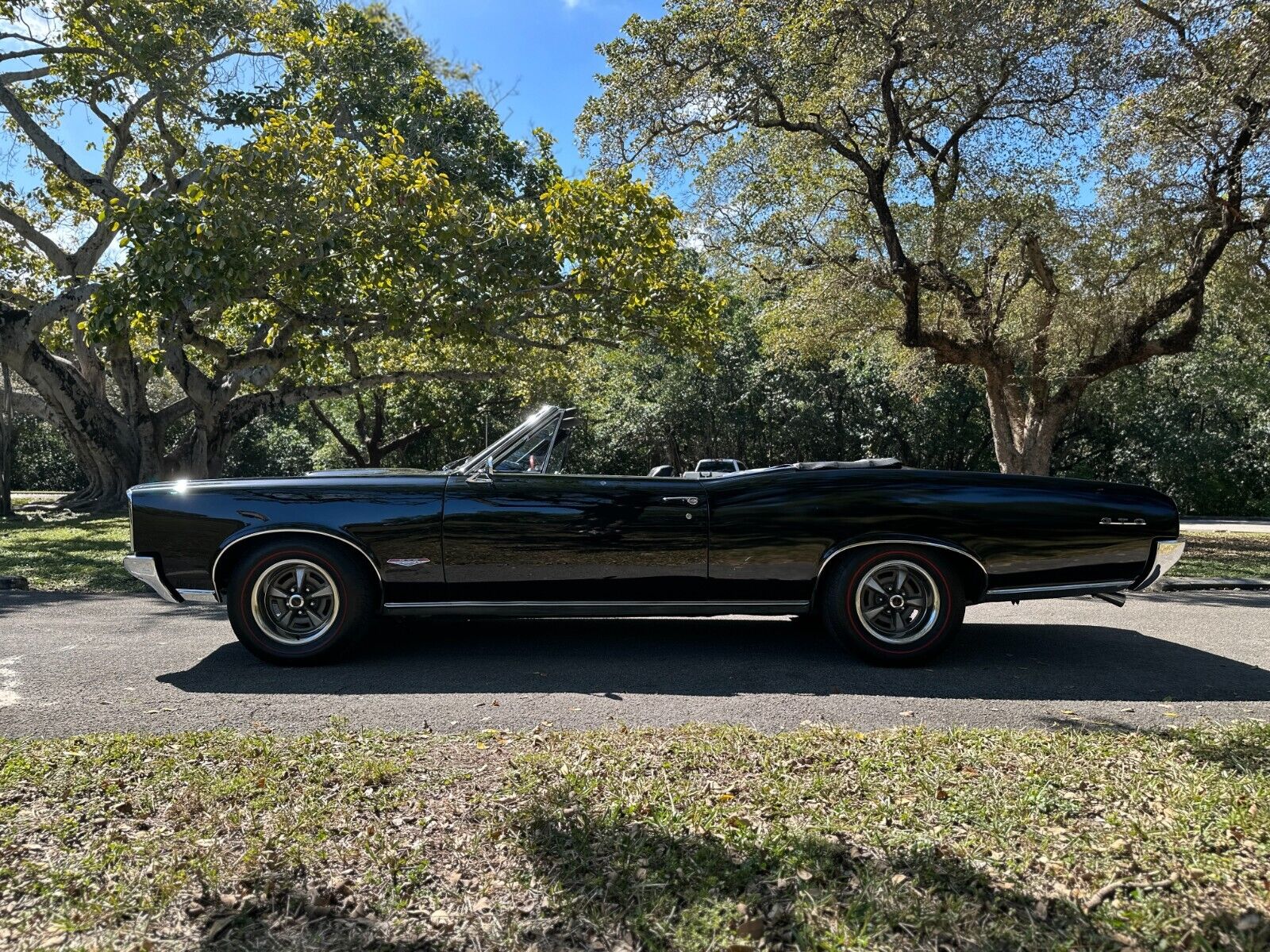 Pontiac-GTO-Cabriolet-1966-Black-Black-131137-15