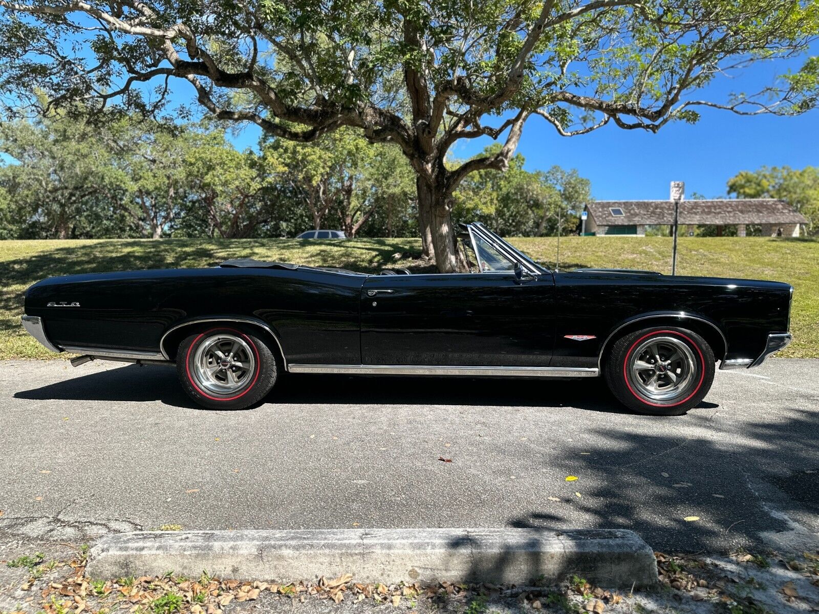 Pontiac-GTO-Cabriolet-1966-Black-Black-131137-17