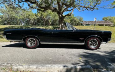 Pontiac-GTO-Cabriolet-1966-Black-Black-131137-18