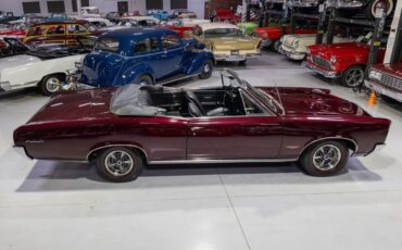 Pontiac-GTO-Convertible-Cabriolet-1966-Burgundy-Black-88945-7