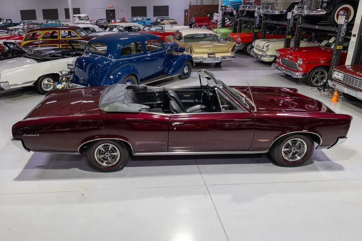 Pontiac-GTO-Convertible-Cabriolet-1966-Burgundy-Black-88945-7