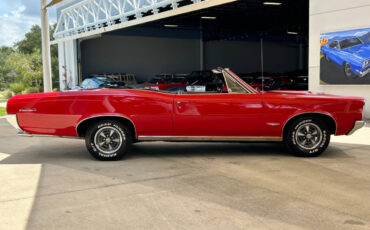 Pontiac-GTO-Convertible-Tribute-Cabriolet-1966-Red-Black-87193-3