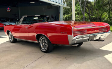 Pontiac-GTO-Convertible-Tribute-Cabriolet-1966-Red-Black-87193-9